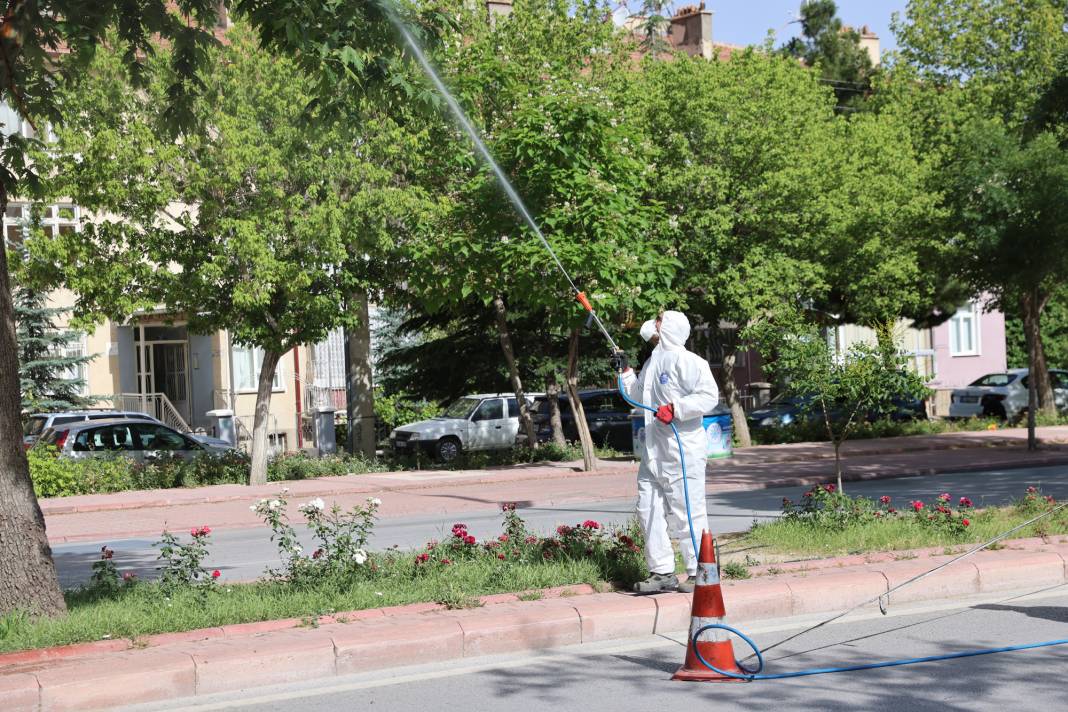 Selçuklu’da haşere ile mücadele 4